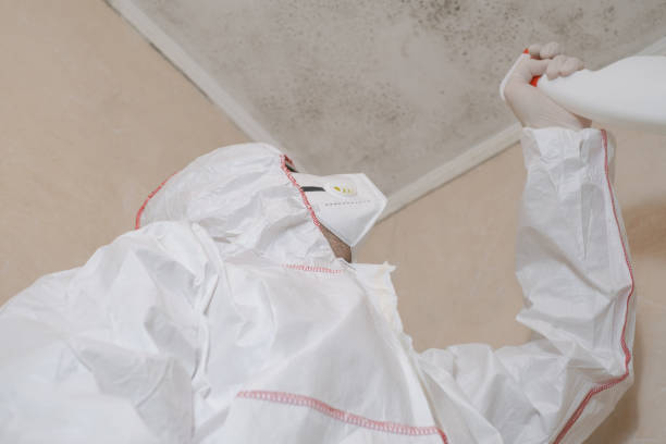 Best Office Mold Removal Services  in Columbia, MD